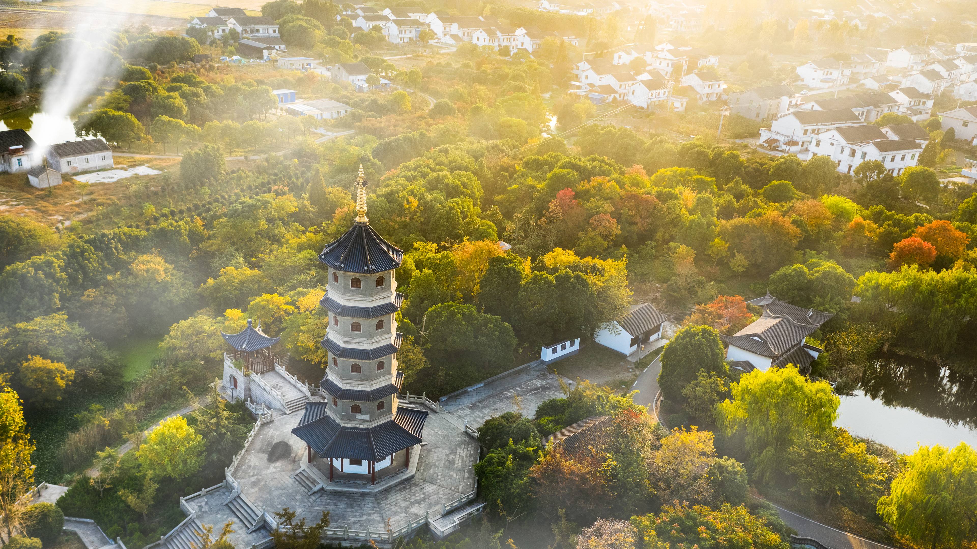 在处暑时节的村庄田野与寺庙佛塔,江阴市,江苏省,中国